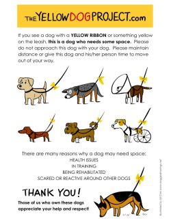gingerhaole:  zydecolady:  Saw this on facebook and thought it might be helpful.  :)  This is brilliant. Such a good idea. I wish this had been a thing years ago, because, although he’s mellowed out in his old age, poor Oscar was a dog who needed space,