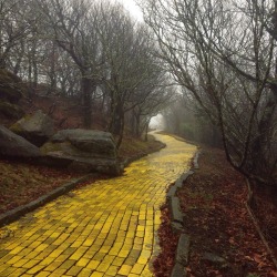wilwheaton:  Abandoned Wizard of Oz theme park, January 2015   Well this is fucking terrifying.