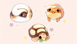fluffysheeps: Thinking about reptiles 🐍🦎🐢