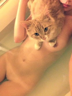 ravespirit:  So dexter decided to join me in my bath tonight