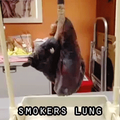 futubandera:  Pulmón de fumador - Pulmón de no fumador 
