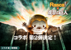 snkmerchandise: News: SnK x  Araiguma Rasukaru (Rascal the Raccoon) Collaboration 2 (Additional Items) Original Release Date: May 20th, 2017Retail Price: Various (See below) More items from the second collaboration between SnK and Araiguma Raskaru/Rascal