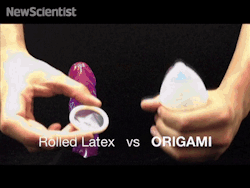 awesomeness2:  brownglucose:  prettyboyshyflizzy:  condomdepot:  dimensao7:  Origami condom adds pleasure to safe sex  We personally can not wait until Origami condoms become available in the market.  :)    This gif lol  holy f….that is awesome. and