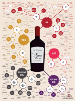 The different types of Wine by style &amp; taste