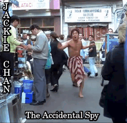 Jackie ChanThe Accidental Spy (2001)