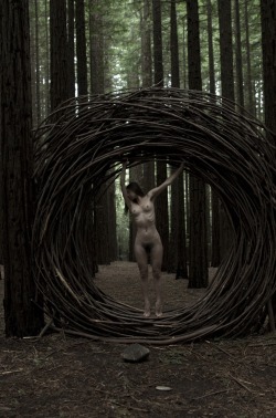 kyotocat:  my wilderness dark &amp; ambiguous, will you tangle me in?  kyotocat | Jason Schaefer 