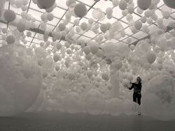 bled:Scattered Crowd by William Forsythe  