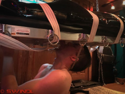 swindleleather:Nothing like putting your head into your work :-)