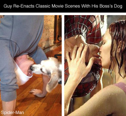 smerchfanatic:   tastefullyoffensive:  Guy Re-Enacts Classic Romantic Movie Scenes With His Boss’s Dog On His Lunch Breaks [mmsspp/via]Previously: Classic Movie Quotes Updated For The Digital Age  It was the frigging Graduate one that set me off! 
