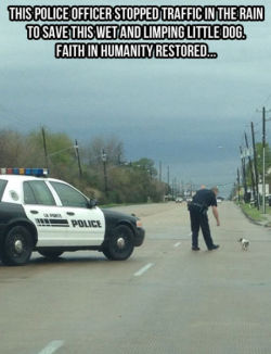 stretchedlobes:  webofgoodnews:  Animals getting help from people.   this is why I havnt lost faith in humanity