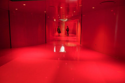 plizm:  Rem Koolhaas Seattle Public Library Red Hall 03 by v8media on Flickr.  I believe this is the 8th floor of the Seattle library.  When I Lived in WA I was on a lot of drugs and I really loved this library.