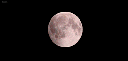 personwithoutfeelings:  autremondeimagination :  El fenómeno de la luna sangrienta.    Martes15 abril del 2014 a las 14:30 hora colombiana.  