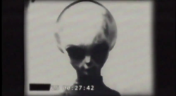 chaosophia218:  3 Species of Aliens and Their Relevance to Human Evolution.The Greys The Greys are what most people think about when they hear the word ‘alien’ thanks to the 1947 UFO sightings in Roswell New Mexico. Perhaps the weirdest looking of