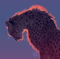tamberella: Cheetah Doodle