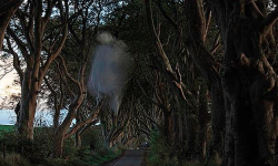 sixpenceee:  Grey Lady of Dark HedgesThis anomalous image was captured at Dark Hedges near Armoy, Ireland by Gordon Watson and is thought to be the legendary Grey Lady.“According to locals the Grey Lady haunts the thin ribbon of road that winds beneath