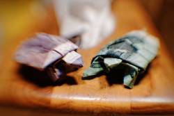 Turtle money origami.