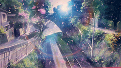 my-atychiphobia:  “The speed at which the sakura blossom petals fall… Five centimeters per second..” 
