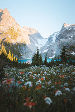 banshy:Alpine Lakes Wilderness by Nathaniel Wise U dont call anymore