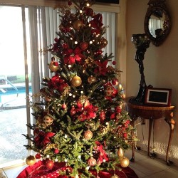 Christmas tree! =] #xmas #lights #december #tree #red #gold #pretty