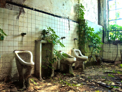 sanithna:  An abandoned Atlanta school’s bathroom is slowly reclaimed by ivy and kudzu. 