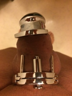 Chastity can be a very exciting aspect of the cuckolding lifestyle. :) http://www.amazon.com/Cuckolding-path-women-resource-couples/dp/1480097349 http://www.amazon.com/Cuckolding-Questions-Answers-Caroline-James-ebook/dp/B00E2TMS4Q
