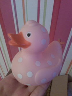 pink&ndash;cheeks:  I bought a new duck!!!