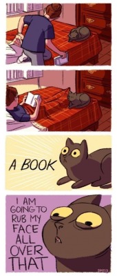 lolshtus:  Cats Vs. Books 