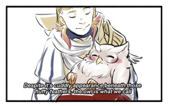 flamingopuuuunch:True Facts about Feh the Owl
