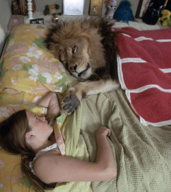 kirarenea:innocenttmaan:After a trip to Africa, actress Tippi Hedren, her husband Noel Marshall, and  their actress daughter Melanie Griffith, wanted to make a movie about  lions. At the advice of Ron Oxley, an animal trainer who said that “to  get