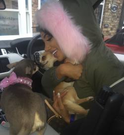 Forgot to post on Wednesday but happy 3rd birthday to our oldest dogbaby #fendisparkle 🐾🐾pink fatty is Chanel giving him #birthday kisses 💗 by chloe.khan