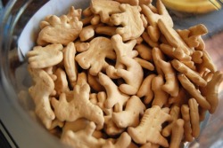 littleprincessdiary:  im-horngry:  Animal Crackers - As Requested!  I just got the biggest craving for animal crackers oh my god 