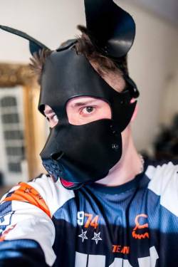 Love the Woof hood, did you get the muzzle that goes with it?