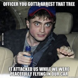 Agente, debe arrestar a ese árbol Nos atacó cuando estabamos pacificamente volando en nuestro coche