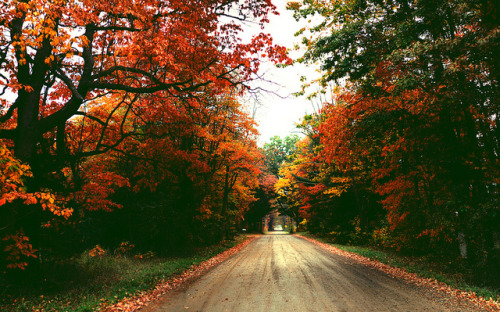 grett: осень По ZacharySnellenberger на Flickr. 