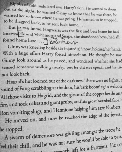 cw12:  Okay, I had this major realization reading Harry Potter and the Deathly Hallows last night. Harry, Voldemort and Snape represent the Three Brothers from The Tales of Beedle the Bard. [ I ] Voldemort being the one who wanted the wand to defeat