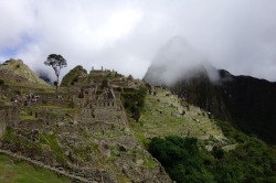 magic en la mañana. from wanderings in Machu Picchu. Jan 2017. Perú. . . .  #machupicchu #worldtraveller #inca #unescoworldheritage #travel #nomad #backpackers #peru #travelersnotebook #southamerica #wanderlust #wanderer #adventurer #traveltheworld