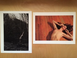 jacsfishburne:I found some prints from my first print sale while cleaning my room the other day. I have three of each image. If anyone wants one, email me at jacsfishburne@icloud.com
