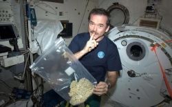 caesaraleczander:  interplanetaryconnections:  buddh1sm:  thatsgoodweed:  Nothing is illegal in space  Seriously my favorite picture of all time  Chris Hadfield knows what’s up.   Idol