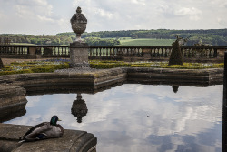 theladyintweed: Harewood House, Terrace View, Harewood, West Yorkshire by Carl Burton 2011 on Flickr.