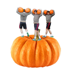 hannibalsbasement:  Hugh Dancy carrying pumpkins while standing on a giant pumpkin 