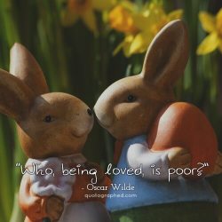 quotesinphotographs:  “Who, being loved, is poor?”  - Oscar Wilde