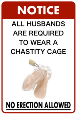 chastitybeach:  Signs like this can be found all over each Chastity franchise resort, but, for some reason, guests keep taking them… and posting them at home!