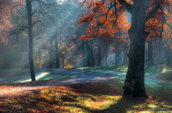 brutalgeneration:  Autumn Road by Timmy the Camera Guy on Flickr. 