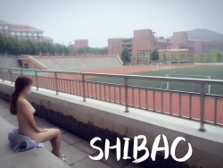 shibaolouchu:  MY   SCHOOL