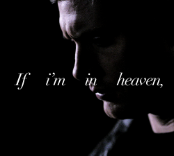 lucifersaam:  SAM WINCHESTER MEME: ✿ favorite quotes about sam [&frac12;]– Wait. If I’m in heaven, then where’s Sam? 