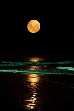 junto a ti! &hellip; las olas, ondeando el reflejo cristalino de mi amada Luna, extendiéndose hasta ti. junto a ti