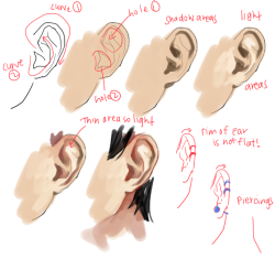 kelpls:  UMM PEOPLE ASKED ABOUT NOSES AND EARS SO YEAH!!  please look up real references too don’t just look at THESE CAUSE REAL REFS ARE THE BEST I HOpe this helps somewhat i wan’t sure waht to cover SOBS  