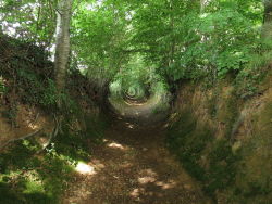 biodiverseed:  Appearing like trenches dragged into the earth, sunken lanes,  also called hollow-ways or holloways, are centuries-old thoroughfares  worn down by the traffic of time. They’re one of the few examples of  human-made infrastructure still