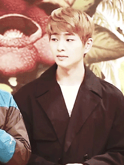 mingoox:  Onew at Laws of the Jungle Press Conference 