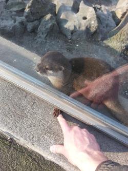 bumhol:awwww-cute:Went to the zoo today and this little guy came up to me and held my fingerI love U…………..